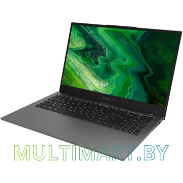 Ноутбук Digma Pro Fortis DN15P3-ADXW01 картинка 14